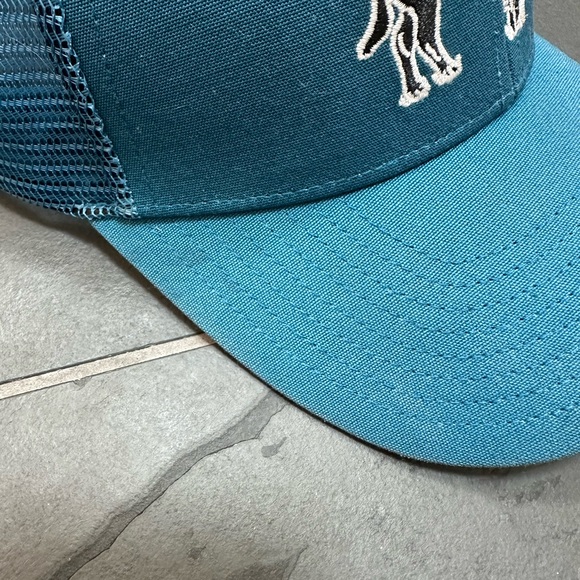 Patagonia Fitz Roy Bison Trucker Hat - Picture 4 of 4